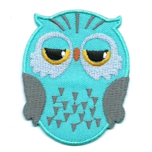 Mint green iron on embroidered owl patch with black and yellow eyes.